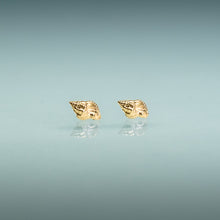 Load image into Gallery viewer, mini florida conch shell earrings in 14k yellow gold by hkm jewelry