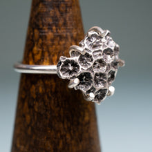 Load image into Gallery viewer, detail of northern star coral cast in oxidized recycled silver and prong set in a ring by hkm jewelry on a wooden ring stand