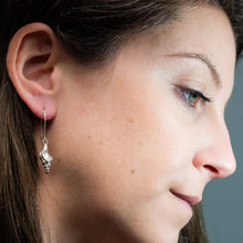 Load image into Gallery viewer, Cast Baby Horse Conch Dangle Earrings - (triplofusus giganteus)