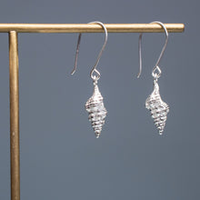 Load image into Gallery viewer, Cast Baby Horse Conch Dangle Earrings - (triplofusus giganteus)