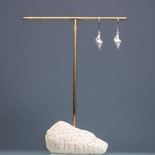 Load image into Gallery viewer, Cast Baby Horse Conch Dangle Earrings - (triplofusus giganteus)