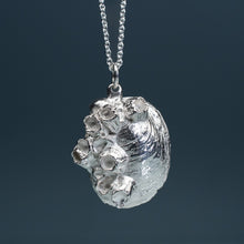 Load image into Gallery viewer, Cast Slipper Shell with Barnacles Necklace - (crepidula fornicata)