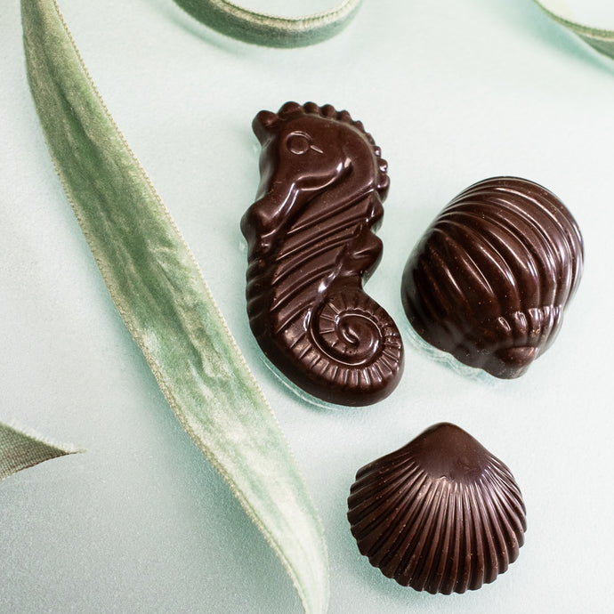 seahorse snail and clam seashell shaped dark chocolate bridge street chocolates hkm jewelry mother's day collaboration