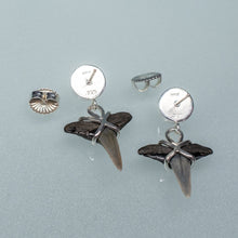 Load image into Gallery viewer, Shark tooth earrings with silver settings on a light blue background