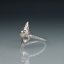 Load image into Gallery viewer, silver horse conch shell ring with twisted band on gradient blue background
