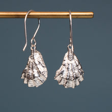Load image into Gallery viewer, Oyster With A Pearl Earrings - Kitten's Paw Dangles