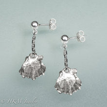 Load image into Gallery viewer, nodipecten nodosus - Lion’s Paw Scallop drop earrings in sterling silver with anchor chain and ball studs by hkm jewelry
