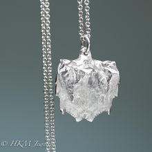 Load image into Gallery viewer, close up back of mantis shrimp tail necklace cast in sterling silver by hkm jewelry