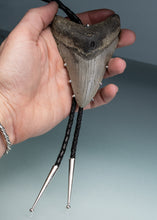 Load image into Gallery viewer, shark tooth bolo tie necklace in the hand