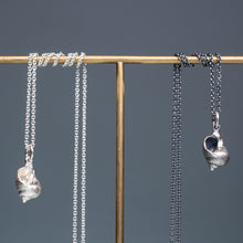 Load image into Gallery viewer, Common Periwinkle Snail Shell Necklace - (littorina littorea)
