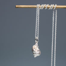 Load image into Gallery viewer, Common Periwinkle Snail Shell Necklace - (littorina littorea)