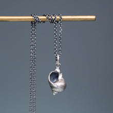 Load image into Gallery viewer, Common Periwinkle Snail Shell Necklace - (littorina littorea)