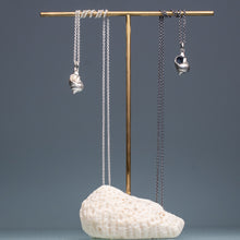 Load image into Gallery viewer, Common Periwinkle Snail Shell Necklace - (littorina littorea)