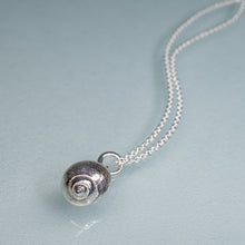 Load image into Gallery viewer, Common Periwinkle Snail Shell Necklace - (littorina littorea)