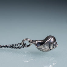 Load image into Gallery viewer, Common Periwinkle Snail Shell Necklace - (littorina littorea)