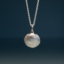 Load image into Gallery viewer, A silver shell pendant necklace with a textured, ribbed scallop shell design hanging from a delicate silver chain against a dark blue gradient background.