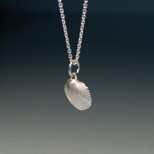 Load image into Gallery viewer, A silver shell pendant necklace hanging from a delicate silver chain against a dark blue gradient background.