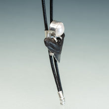 Load image into Gallery viewer, adjustable bolo tie with prong set shark tooth and bezel set pearl