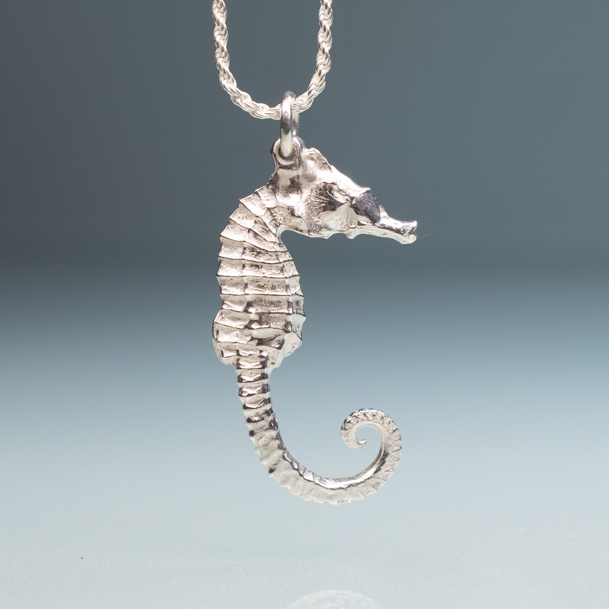 Small Northern Lined Seahorse (Hippocampus erectus) - Cast Silver