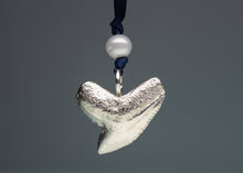 Load image into Gallery viewer, Silver shark tooth pendant with a pearl and blue cord on a gray background
