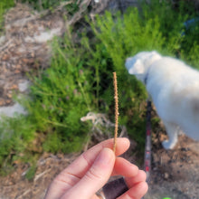 Load image into Gallery viewer, Needle Street Ring - Cast Pine Needle Twig Band
