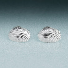 Load image into Gallery viewer,  Recycled Silver Ark Clam Studs - Seashell Earrings - Cockle Clam Shells Sustainable Gift by Hali MacLaren of HKM Jewelry
