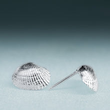 Load image into Gallery viewer, Side View and front of  Recycled Silver Ark Clam Studs - Seashell Earrings - Cockle Clam Shells Sustainable Gift by Hali MacLaren of HKM Jewelry