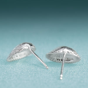 back side of Recycled Silver Ark Clam Studs - Seashell Earrings - Cockle Clam Shells Sustainable Gift by Hali MacLaren of HKM Jewelry