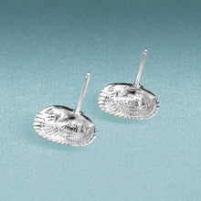 Load image into Gallery viewer, underside of  Recycled Silver Ark Clam Studs - Seashell Earrings - Cockle Clam Shells Sustainable Gift by Hali MacLaren of HKM Jewelry