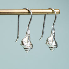 Load image into Gallery viewer, close up side view of baby knobbed whelk drop earrings in polished recycled silver by hkm jewelry