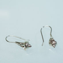 Load image into Gallery viewer, close up view of baby knobbed whelk drop earrings in polished recycled silver by hkm jewelry