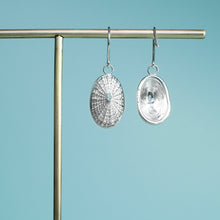 Load image into Gallery viewer, front and back of limpet shell dangles by hkm jewelry