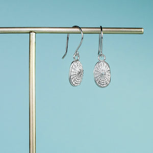 small limpet shell earrings by hkm jewelry