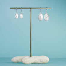 Load image into Gallery viewer, limpet seashell earrings on brass and coral earring stand by hkm jewelry