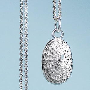 large polished silver keyhole limpet shell necklace