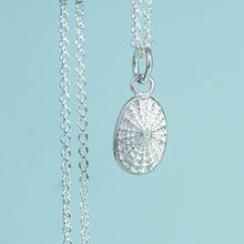 Load image into Gallery viewer, small polished limpet shell necklace by hkm jewelry