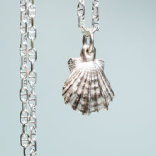 Load image into Gallery viewer, close up of small lions paw scallop shell necklace in polished sterling silver with anchor chain by hkm jewelry
