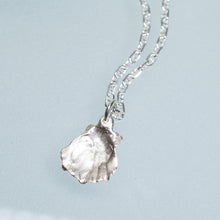 Load image into Gallery viewer, close up underside view of small lions paw scallop shell necklace in polished sterling silver on anchor chain by hkm jewelry