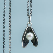 Load image into Gallery viewer, mussel shell necklace with freshwater pearl in oxidized silver by hkm