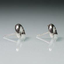 Load image into Gallery viewer, Ram's Horn Squid Shell Stud Earrings - Sterling Nautilus Swirl Studs