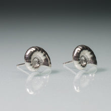 Load image into Gallery viewer, Ram's Horn Squid Shell Stud Earrings - Sterling Nautilus Swirl Studs