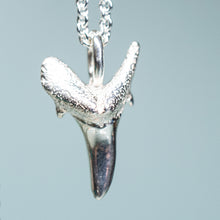 Load image into Gallery viewer, cast polished sterling silver fossilized sand tiger shark tooth on cable chain by hkm jewelry