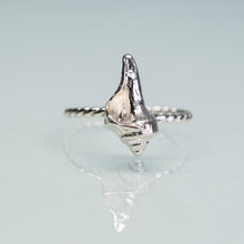 Load image into Gallery viewer, Cast Silver Seashell Ring - Choose Your Shell