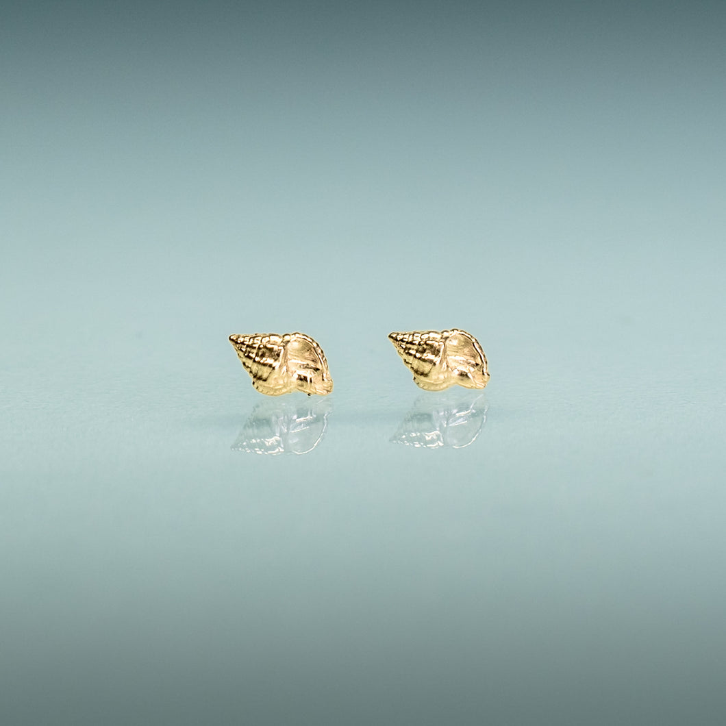 mini florida conch shell earrings in 14k yellow gold by hkm jewelry