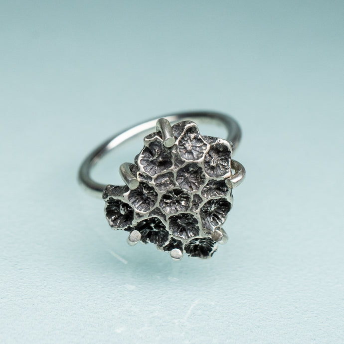 northern star coral cast in oxidized recycled silver and prong set in a ring by hkm jewelry