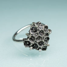 Load image into Gallery viewer, northern star coral cast in oxidized recycled silver and prong set in a ring by hkm jewelry
