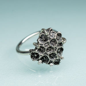 northern star coral cast in oxidized recycled silver and prong set in a ring by hkm jewelry