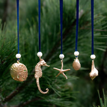 Load image into Gallery viewer, all ornaments in hkm jewelry holiday shop cast shell gifts on evergreen tree background
