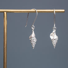 Load image into Gallery viewer, Cast Baby Horse Conch Dangle Earrings - (triplofusus giganteus)
