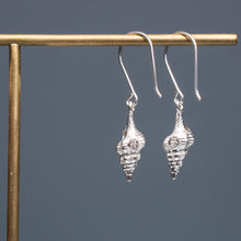 Load image into Gallery viewer, Cast Baby Horse Conch Dangle Earrings - (triplofusus giganteus)
